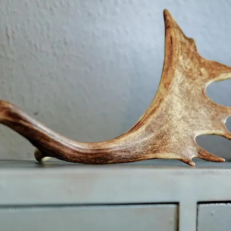 Neuwerk Appartamento