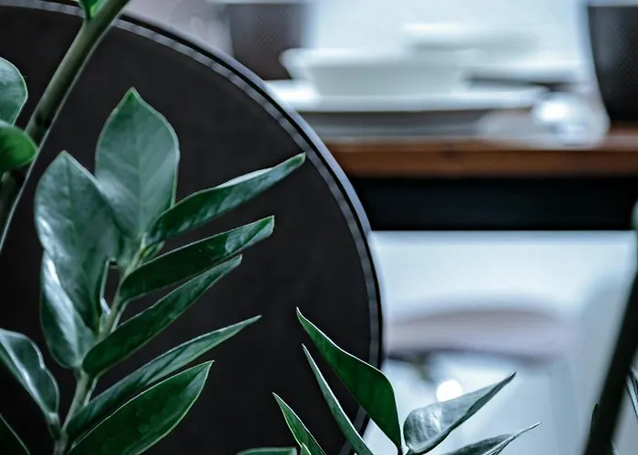 Neuwerk ארפורט